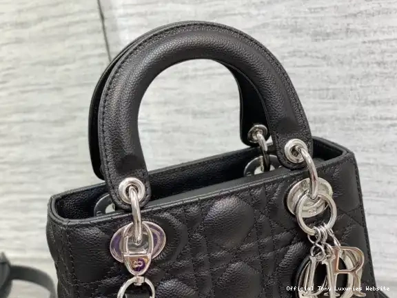 Tony Luxuries Lady Calfskin-20-16.5-8CM Small diro 0520